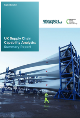 Supply Chain Capability Analysis Summary Report 2023 Thumbnail