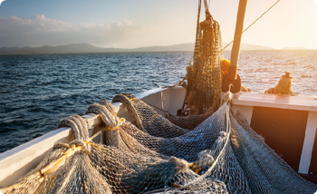 Fishing Nets (1)