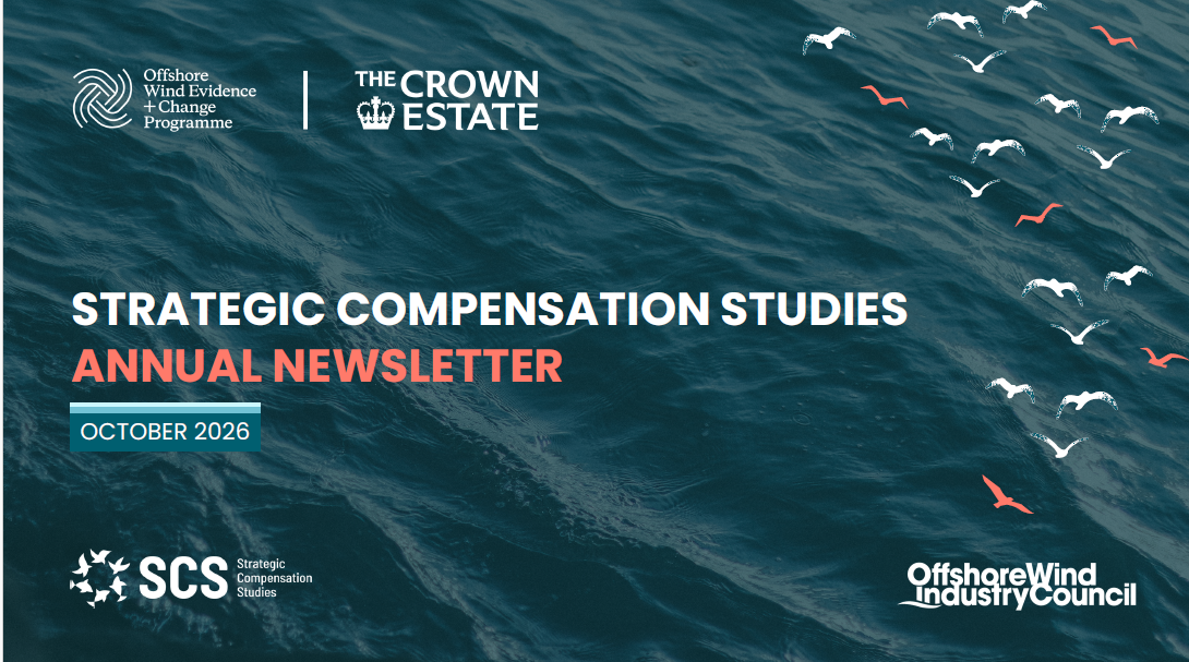 Newsletter Cover Page