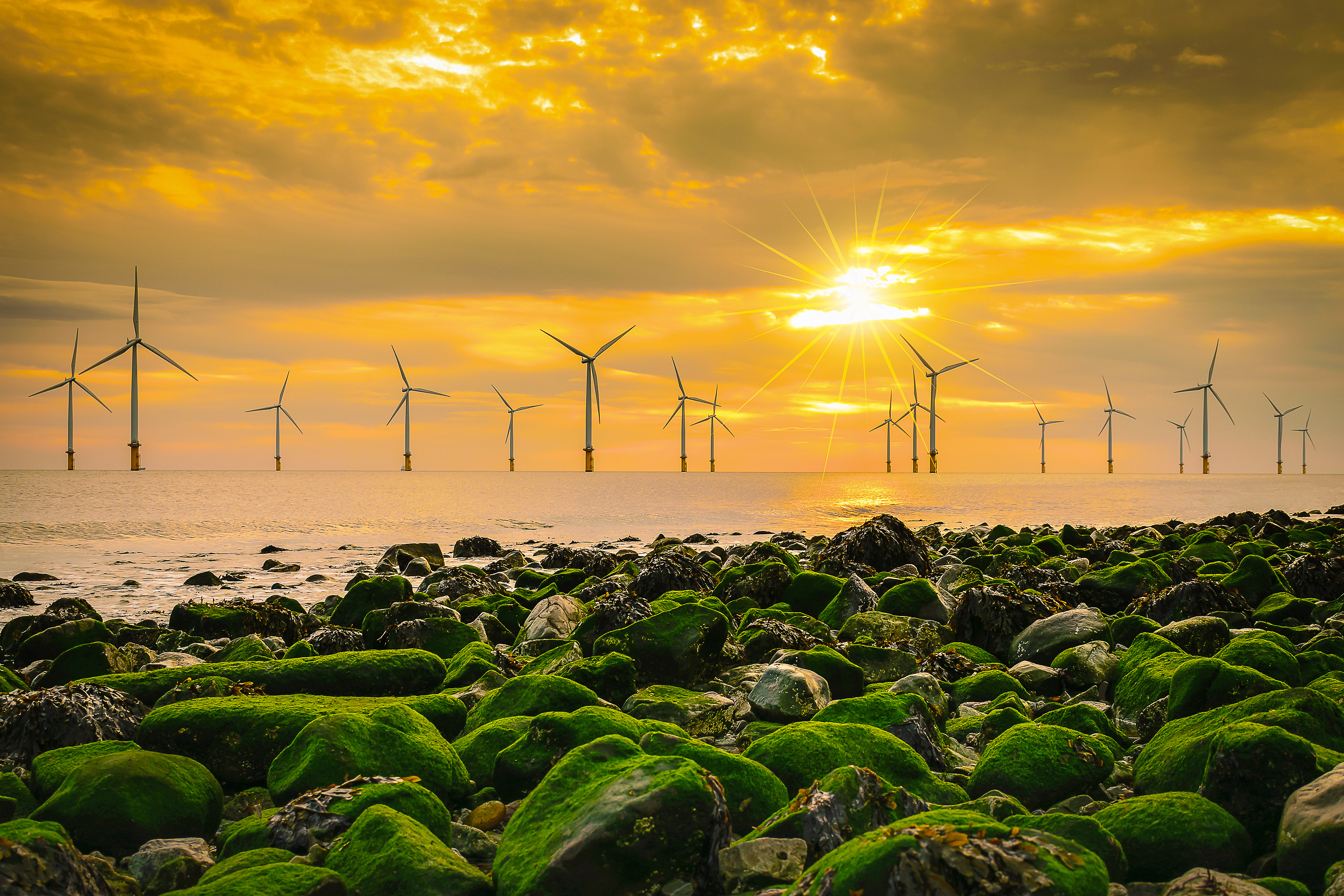 Offshore Wind Farm At Sunrise On Rocky Beach